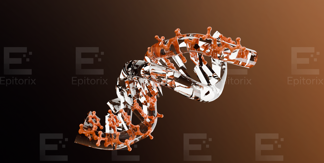 1BNA · B-DNA double helix